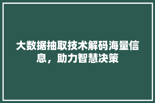 大数据抽取技术解码海量信息，助力智慧决策