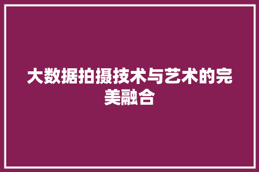 大数据拍摄技术与艺术的完美融合