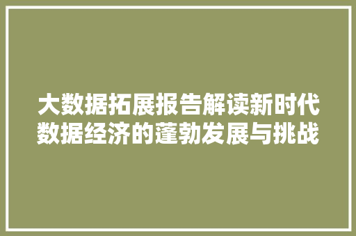 大数据拓展报告解读新时代数据经济的蓬勃发展与挑战