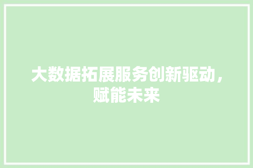 大数据拓展服务创新驱动，赋能未来