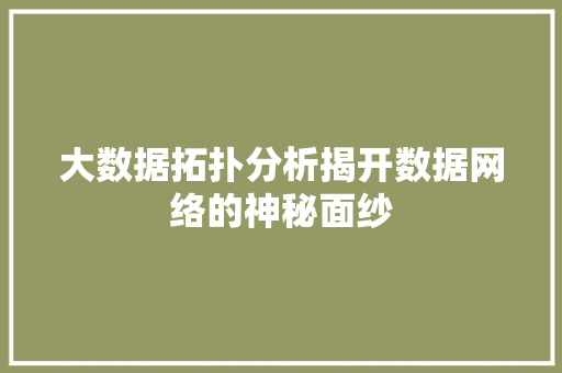 大数据拓扑分析揭开数据网络的神秘面纱