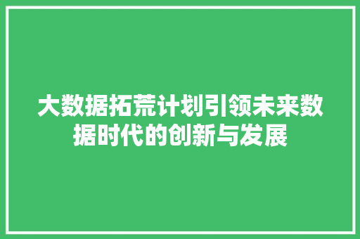 大数据拓荒计划引领未来数据时代的创新与发展