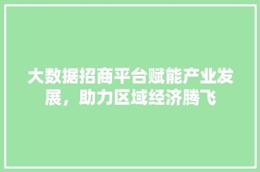 大数据招商平台赋能产业发展，助力区域经济腾飞