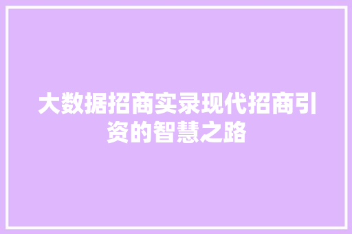 大数据招商实录现代招商引资的智慧之路