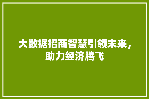 大数据招商智慧引领未来，助力经济腾飞