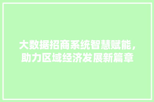 大数据招商系统智慧赋能，助力区域经济发展新篇章