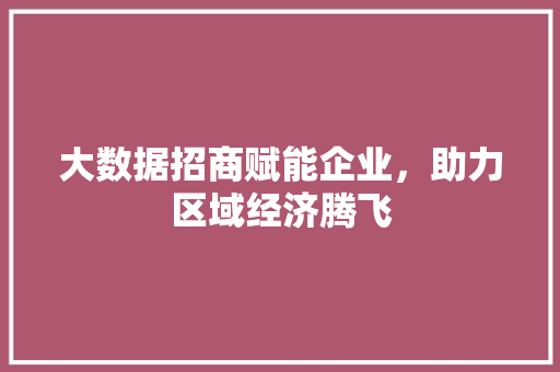 大数据招商赋能企业，助力区域经济腾飞