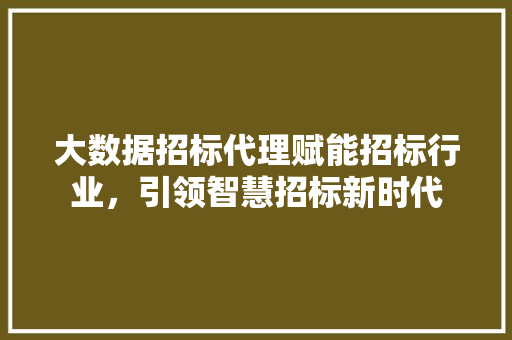 大数据招标代理赋能招标行业，引领智慧招标新时代