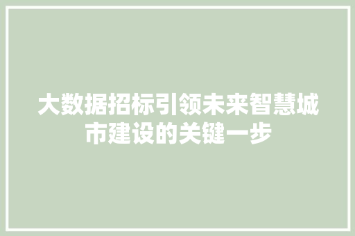 大数据招标引领未来智慧城市建设的关键一步