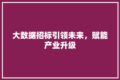大数据招标引领未来，赋能产业升级