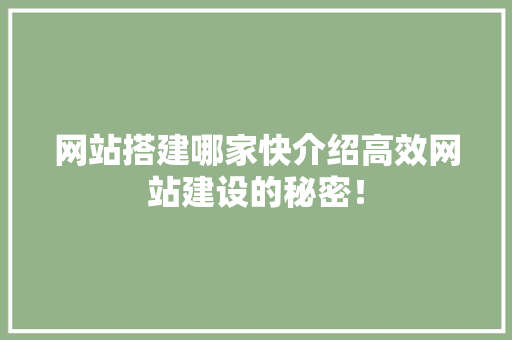 网站搭建哪家快介绍高效网站建设的秘密！ 前端技术