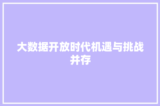 大数据开放时代机遇与挑战并存