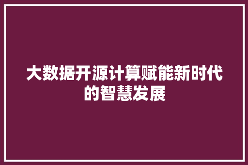 大数据开源计算赋能新时代的智慧发展