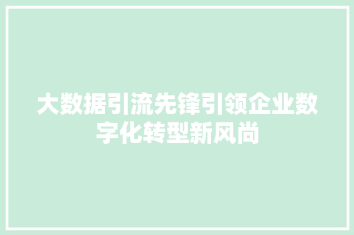 大数据引流先锋引领企业数字化转型新风尚