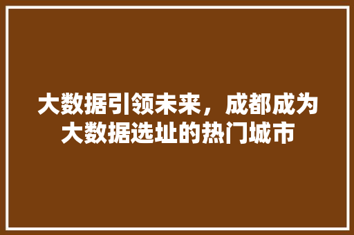 大数据引领未来，成都成为大数据选址的热门城市