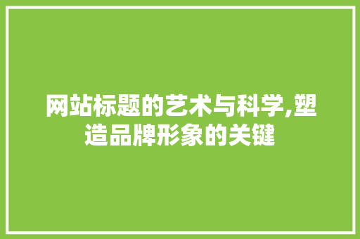 网站标题的艺术与科学,塑造品牌形象的关键 市场营销范文