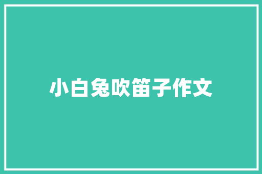 网站静态化,提升用户体验，助力SEO优化的秘密武器