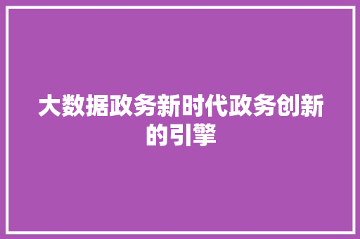 大数据政务新时代政务创新的引擎