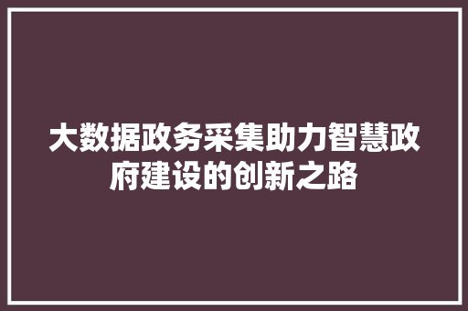 大数据政务采集助力智慧政府建设的创新之路
