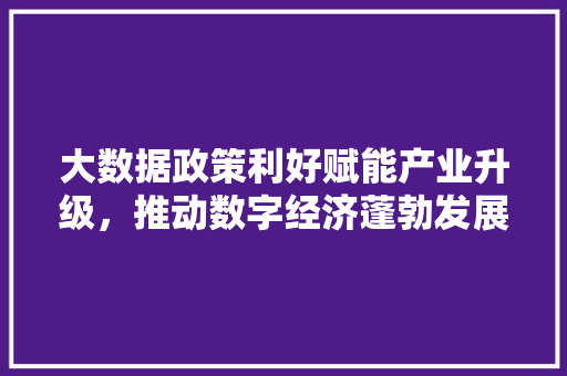 大数据政策利好赋能产业升级，推动数字经济蓬勃发展 后端技术