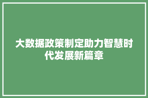 大数据政策制定助力智慧时代发展新篇章