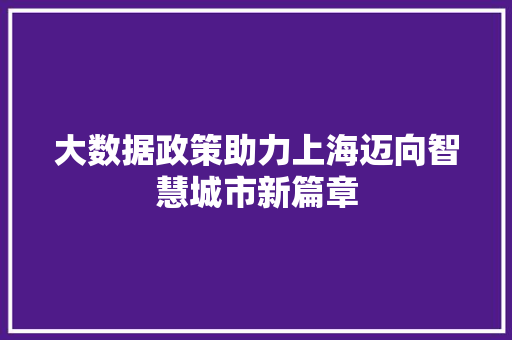 大数据政策助力上海迈向智慧城市新篇章