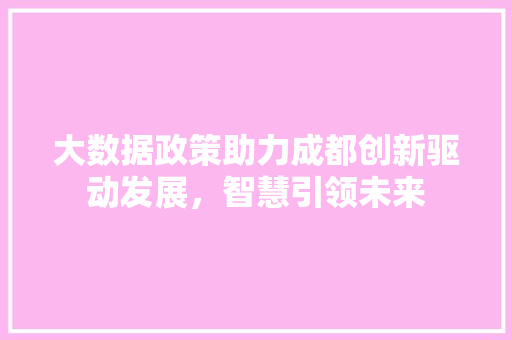 大数据政策助力成都创新驱动发展，智慧引领未来