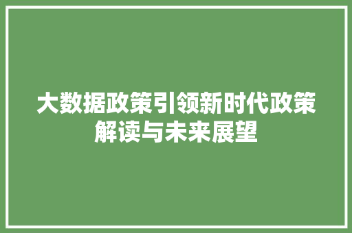 大数据政策引领新时代政策解读与未来展望
