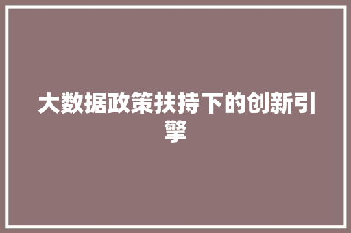大数据政策扶持下的创新引擎