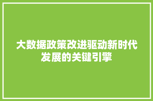 大数据政策改进驱动新时代发展的关键引擎