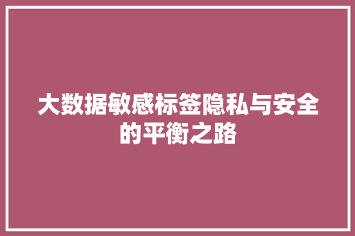 大数据敏感标签隐私与安全的平衡之路