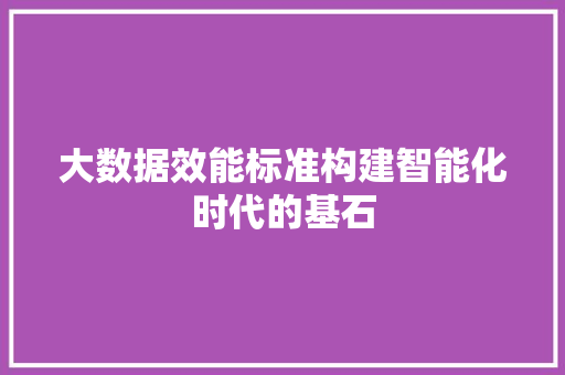 大数据效能标准构建智能化时代的基石