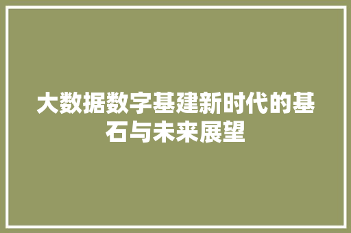 大数据数字基建新时代的基石与未来展望