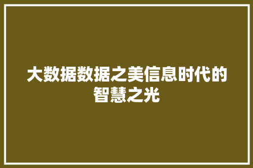 大数据数据之美信息时代的智慧之光