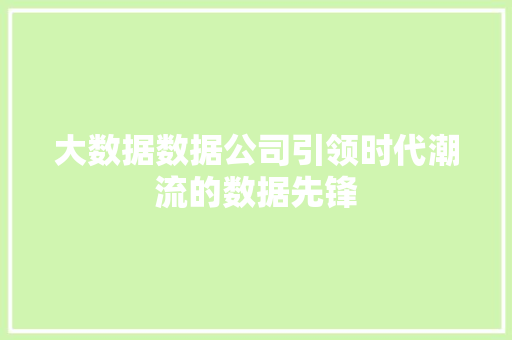 大数据数据公司引领时代潮流的数据先锋