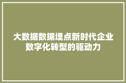 大数据数据埋点新时代企业数字化转型的驱动力