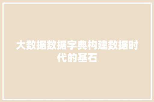 大数据数据字典构建数据时代的基石