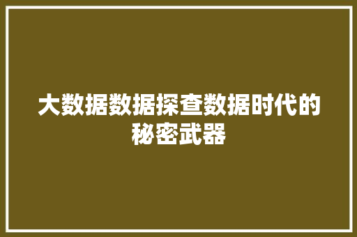大数据数据探查数据时代的秘密武器