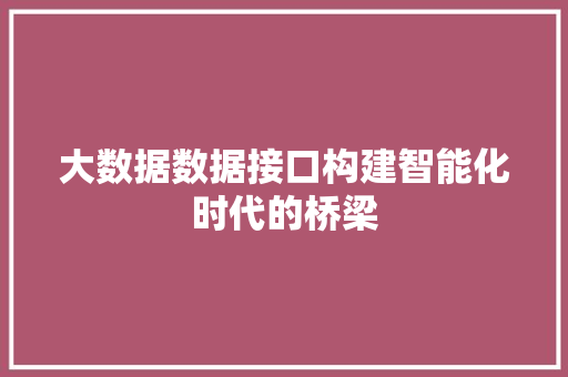 大数据数据接口构建智能化时代的桥梁