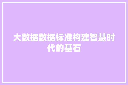 大数据数据标准构建智慧时代的基石 缓存Redis