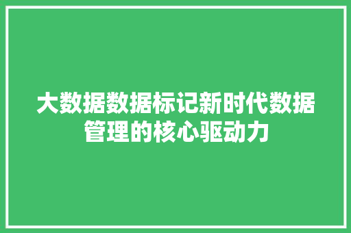 大数据数据标记新时代数据管理的核心驱动力