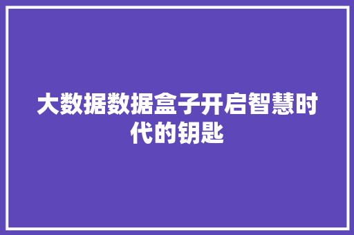 大数据数据盒子开启智慧时代的钥匙