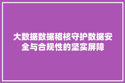 大数据数据稽核守护数据安全与合规性的坚实屏障