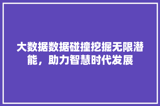 大数据数据碰撞挖掘无限潜能，助力智慧时代发展