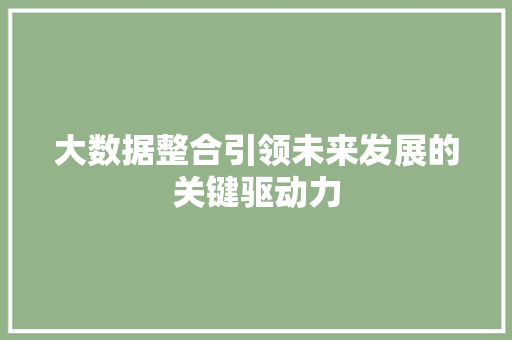 大数据整合引领未来发展的关键驱动力