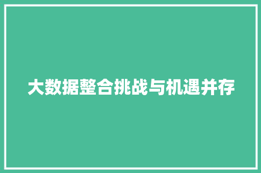 大数据整合挑战与机遇并存