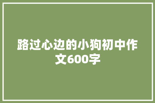 网购物网站设计,打造高效便捷的购物体验 网站建设