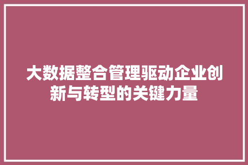 大数据整合管理驱动企业创新与转型的关键力量