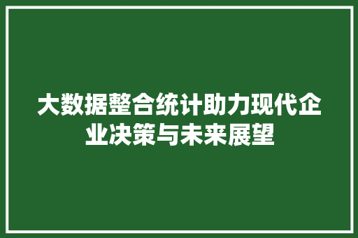 大数据整合统计助力现代企业决策与未来展望
