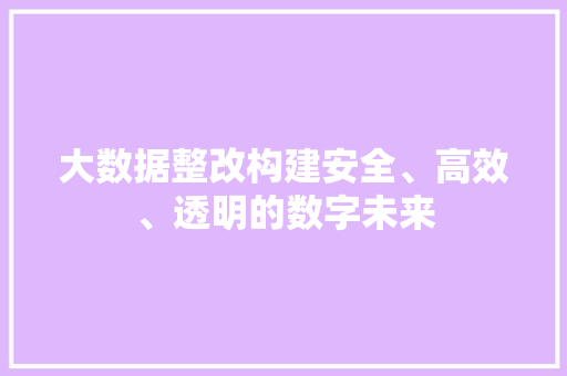 大数据整改构建安全、高效、透明的数字未来